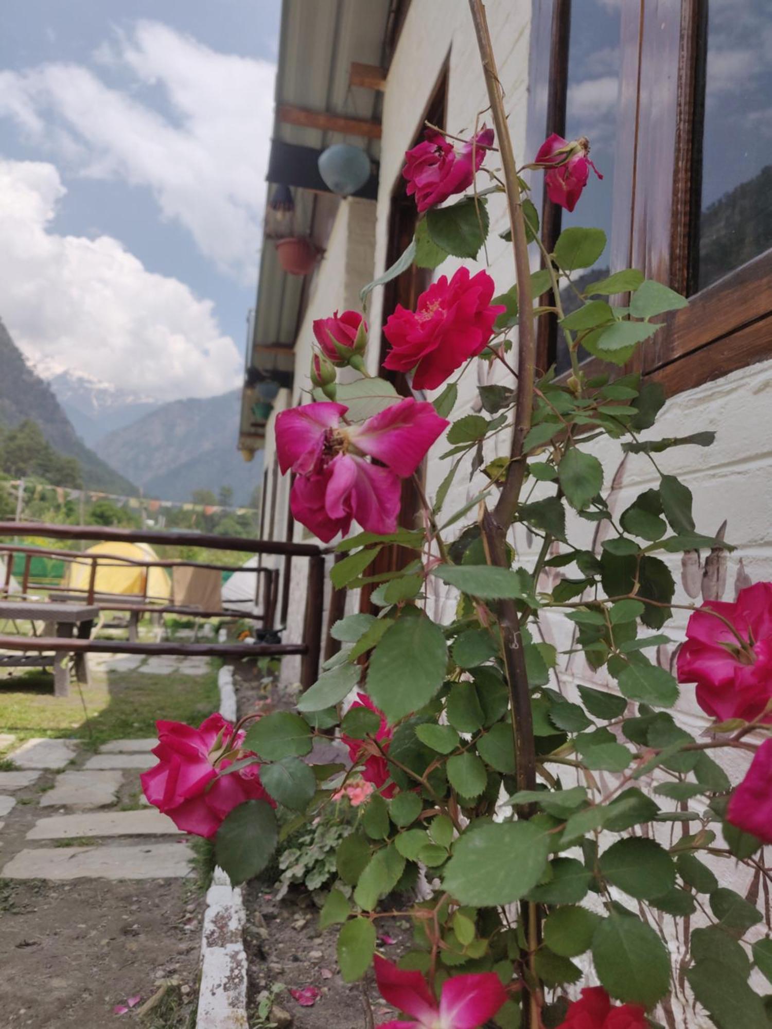 Himtrek Stays, Kasol Kültér fotó